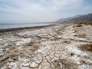 Exposed lakebed along the receding Salton Sea shoreline